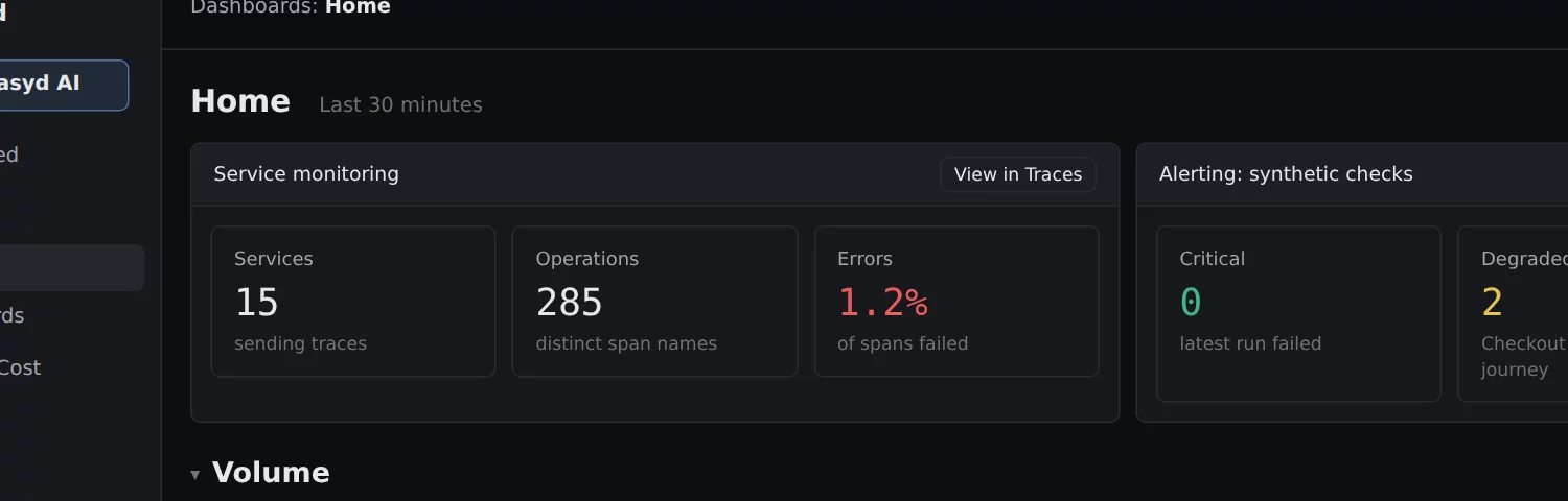 The Leasyd home page with services, errors and volume